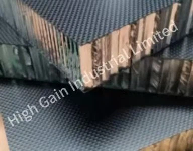 Carbon Fiber Aluminum Honeycomb Sandwich Panel